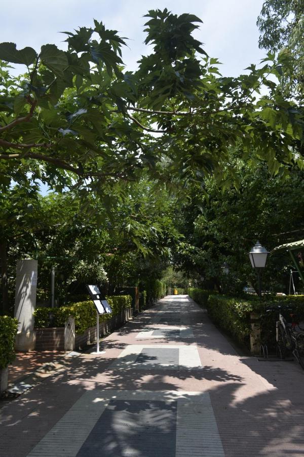 Hotel Riomar Sant Marti d'Empuries Eksteriør bilde