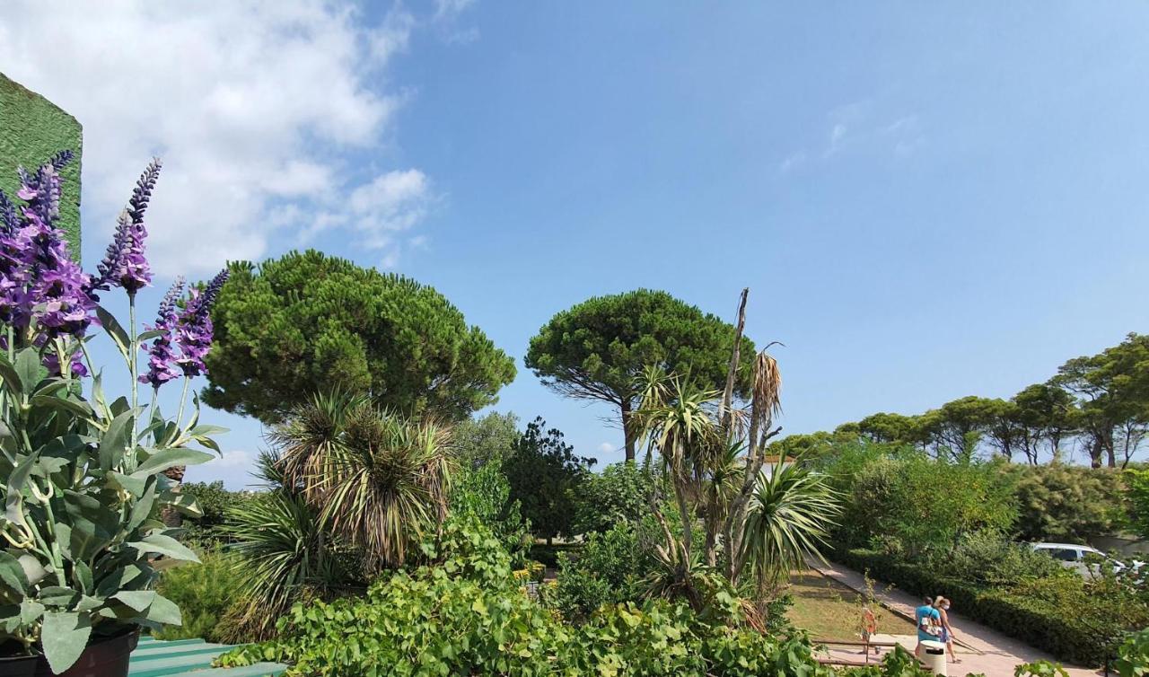 Hotel Riomar Sant Marti d'Empuries Eksteriør bilde
